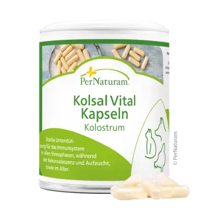 PerNaturam Kolsal Vital Kapseln-Kolostrum